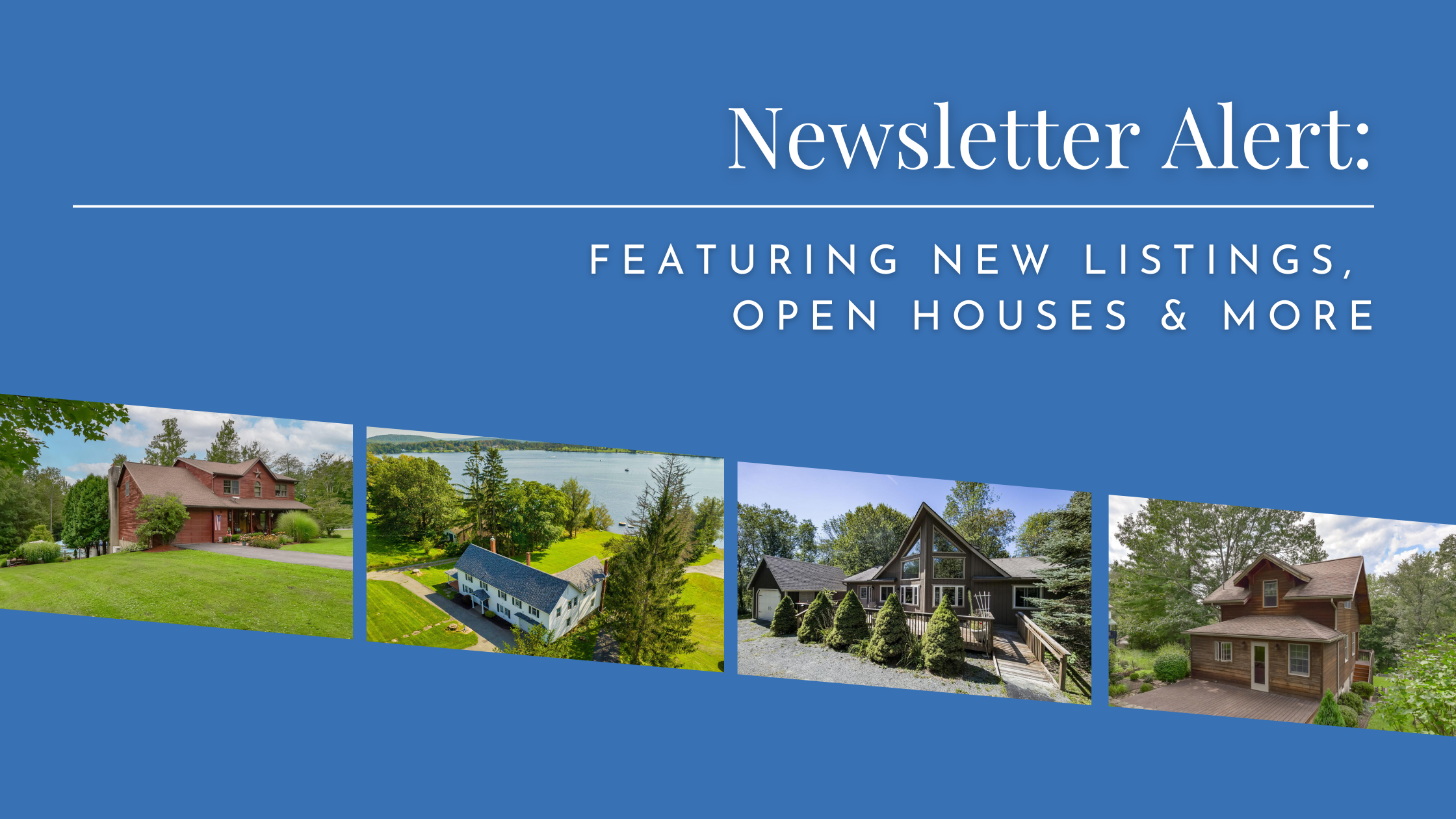 Lewith & Freeman Real Estate Inc.'s Blog'